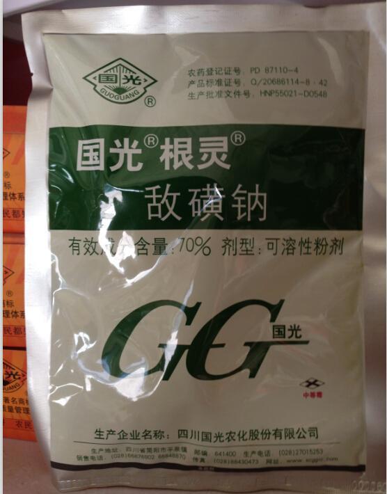 國(guó)光園林養(yǎng)護(hù)用品